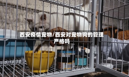 西安疫情宠物/西安对宠物狗的管理严格吗-第3张图片