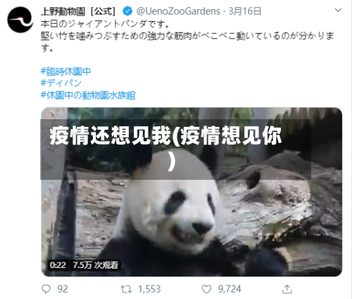 疫情还想见我(疫情想见你)