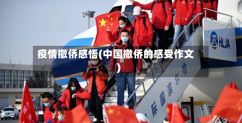 疫情撤侨感悟(中国撤侨的感受作文)
