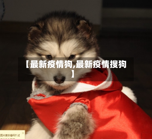 【最新疫情狗,最新疫情搜狗】-第3张图片