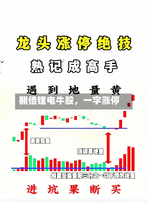 翻倍锂电牛股，一字涨停-第3张图片