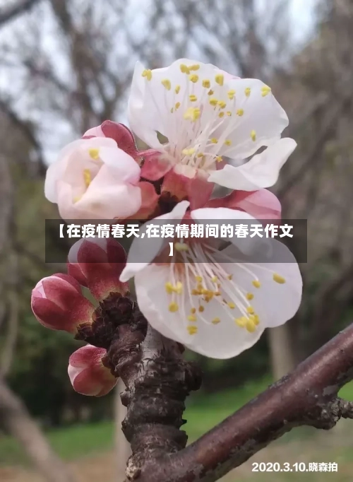 【在疫情春天,在疫情期间的春天作文】-第2张图片