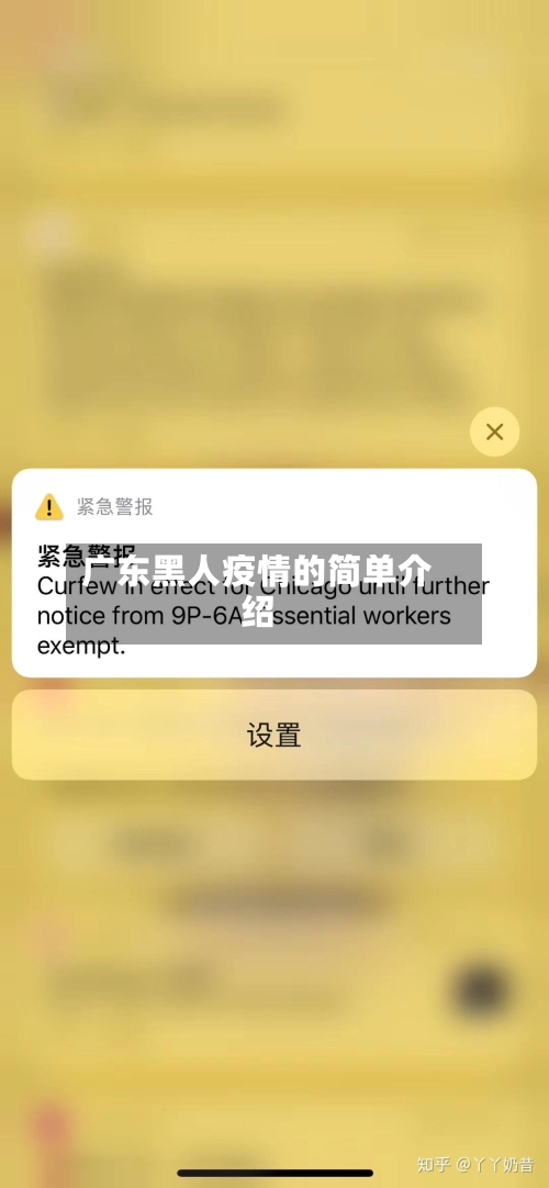 广东黑人疫情的简单介绍-第3张图片