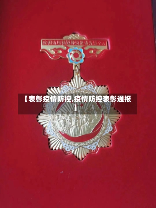 【表彰疫情防控,疫情防控表彰通报】