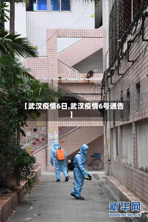 【武汉疫情6日,武汉疫情6号通告】