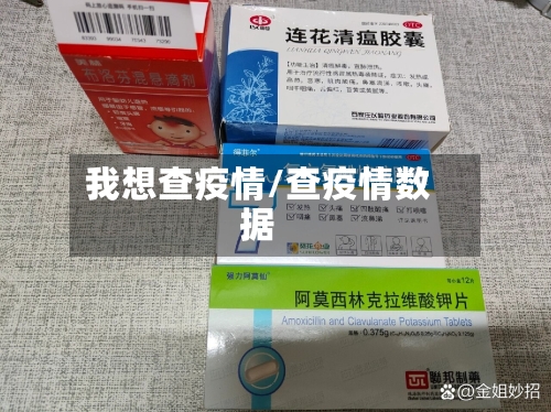 我想查疫情/查疫情数据