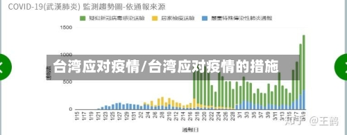 台湾应对疫情/台湾应对疫情的措施-第2张图片
