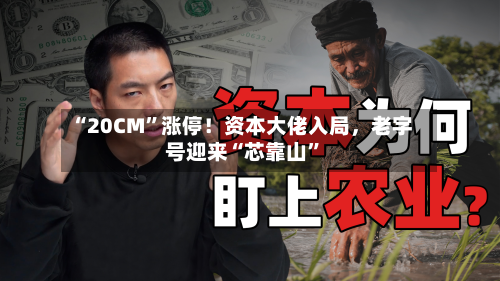 “20CM	”涨停！资本大佬入局，老字号迎来“芯靠山”-第3张图片