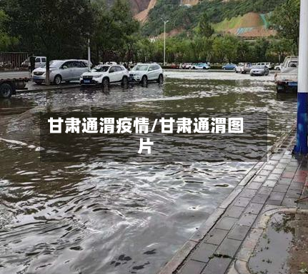 甘肃通渭疫情/甘肃通渭图片