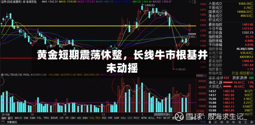 黄金短期震荡休整	，长线牛市根基并未动摇-第1张图片