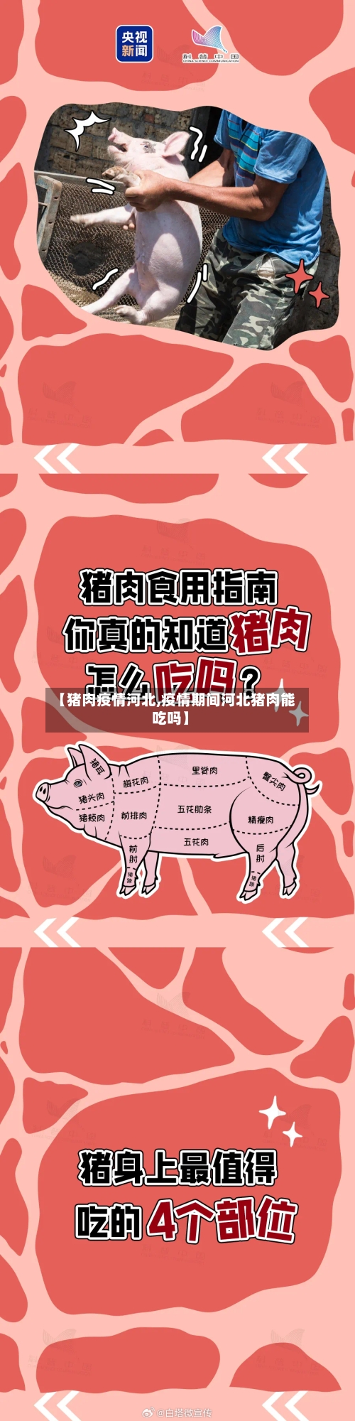 【猪肉疫情河北,疫情期间河北猪肉能吃吗】