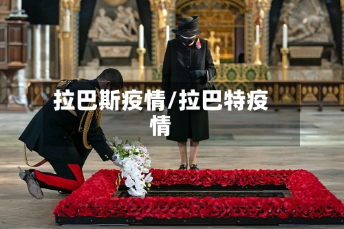 拉巴斯疫情/拉巴特疫情-第3张图片